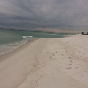 Meet your Posher, Gabby